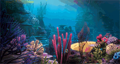 Desktop Screenshot of marsh-reef.org